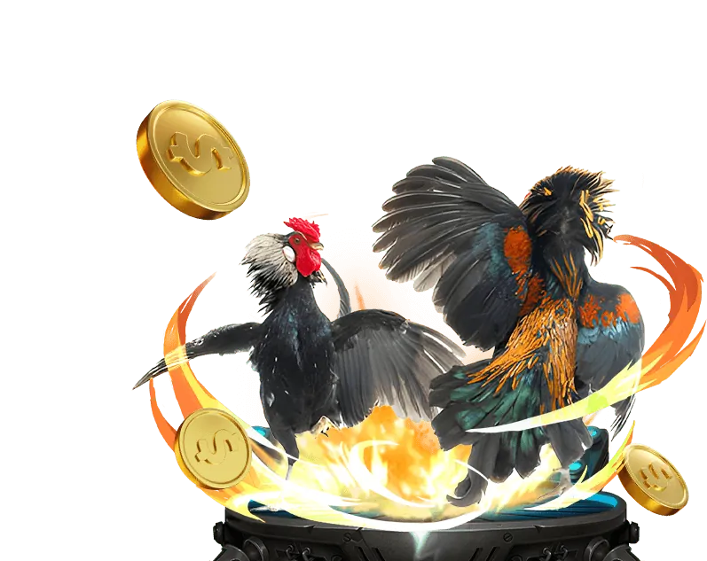 Giao diện đặt cược đá gà zobet